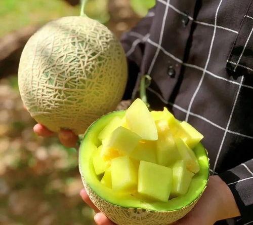 娱乐吃瓜壁纸图