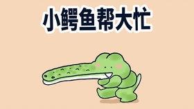 妇女骂街搞笑视频